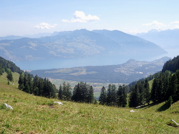 Oberer Thunersee, Sigriswiler Grat, Niederhorn, Spiez