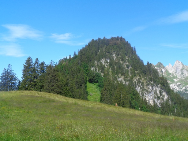 Stein (1501m)