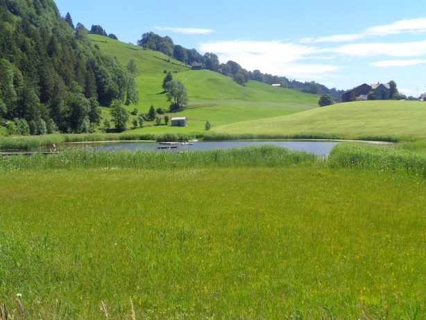 Schönebodesee (1098m)