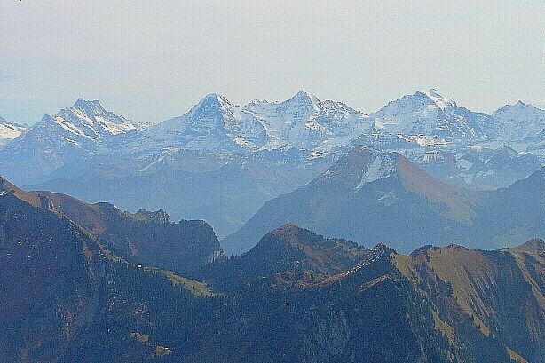 Schreckhorn (4078m), Eiger (3970m), Mönch (4107m), Jungfrau (4158m)