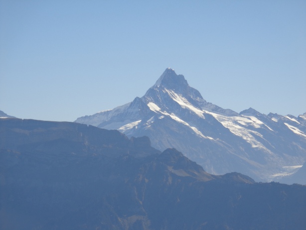 Schreckhorn (4078m)