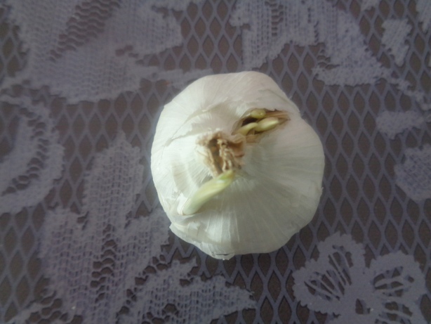 1 Knoblauchknolle (6 Knoblauchzehen)