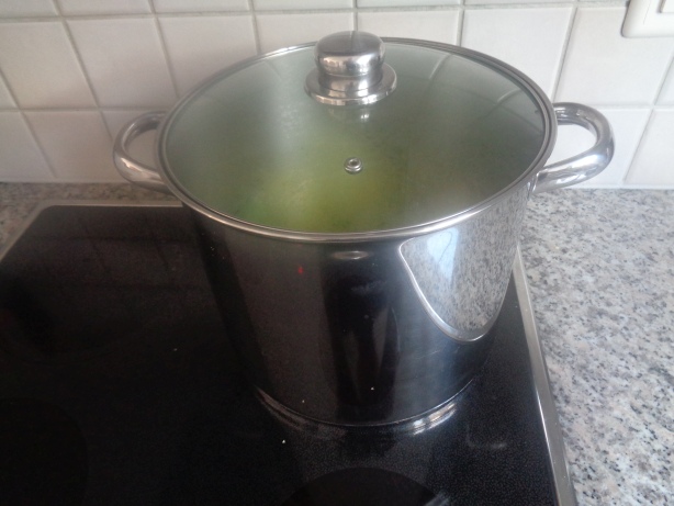 Alles 20 Minuten zugedeckt  kochen