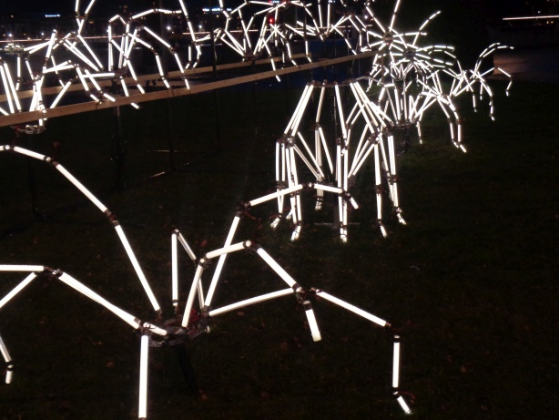 Spider In Situ - Groupe LAPS