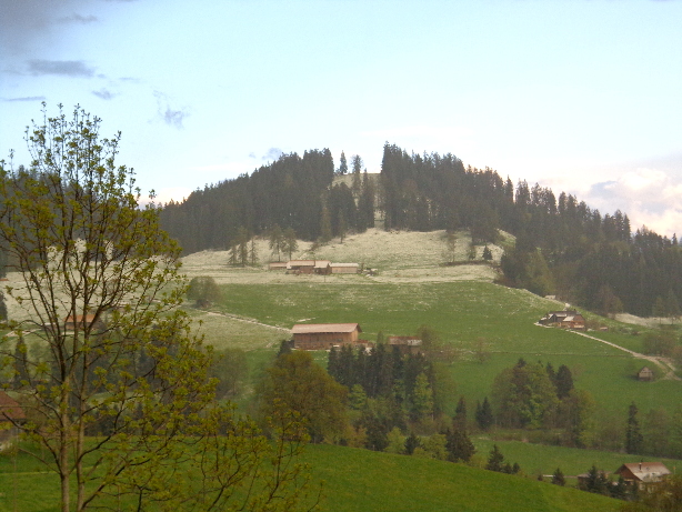 Winterberg (1217m)