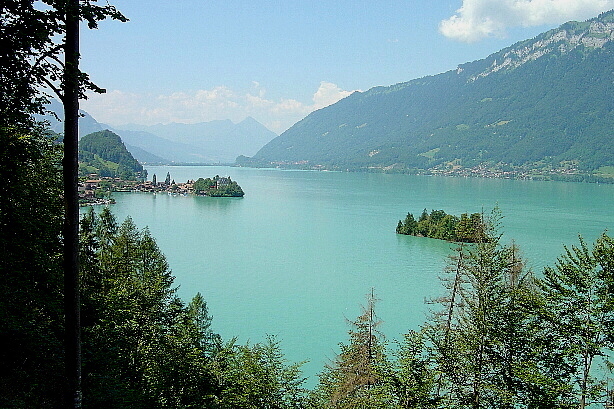 Iseltwald und Schnäggeninseli