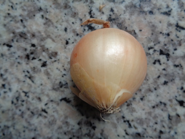 Eine Zwiebel
