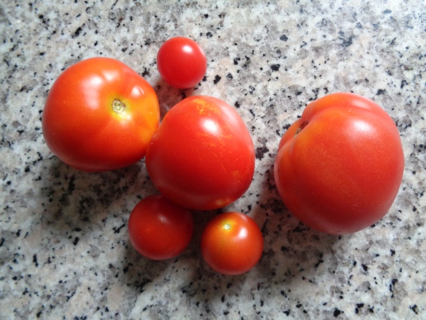 Ein paar Tomaten