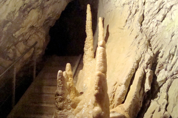 Stalagmiten