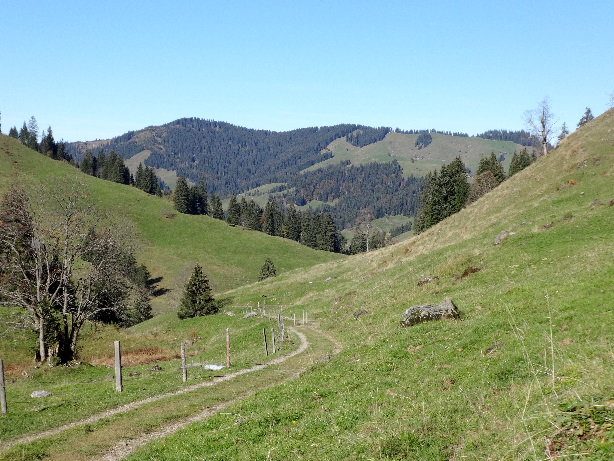 Höhi Honegg (1507m)