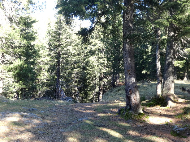 Grünenbergpass (1556m)