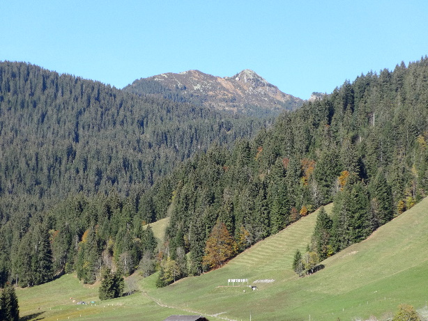 Hohgant (2197m)