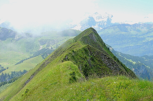 Der Gipfelgrat