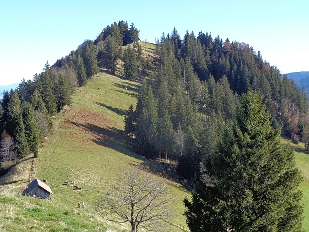 Schwendelberg (1294m)