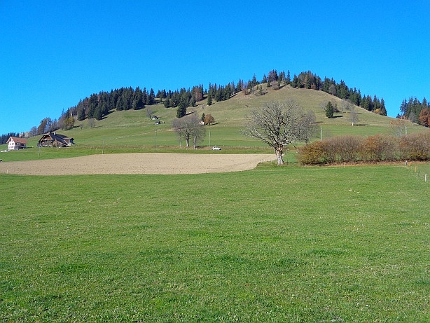 Schwendelberg (1294m)