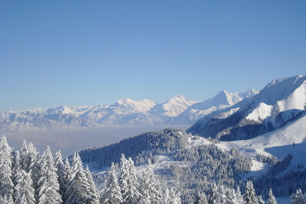 Wellhorn, Wetterhorn, Bärglistock, Schreckhorn, Eiger, Mönch