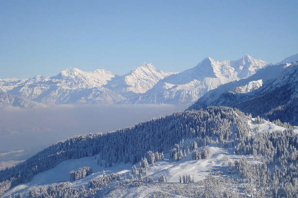 Wellhorn, Wetterhorn, Bärglistock, Schreckhorn, Eiger, Mönch