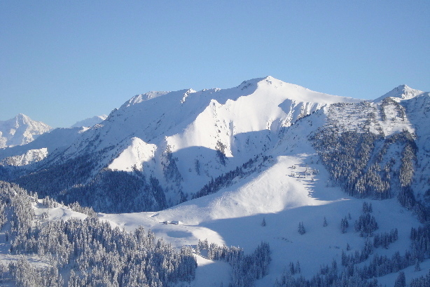 Stubeflue (2004m)