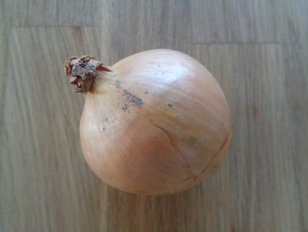 Eine Zwiebel