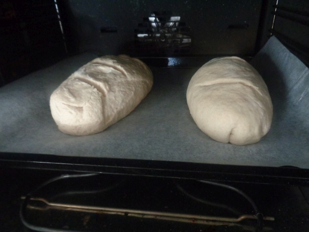 30 bis 40 Minuten in den Backofen stellen