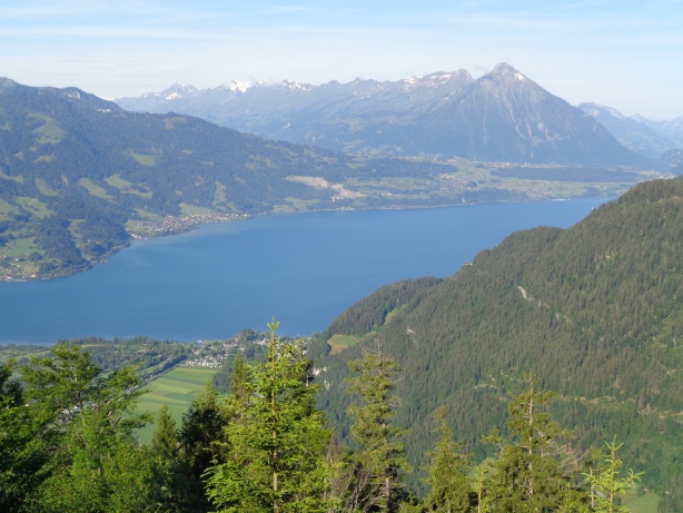Thunersee, Niesenkette