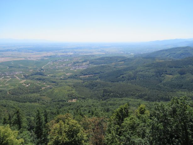 Blick Richtung Schwarzwald