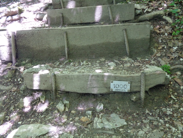 Die tausendste Stufe