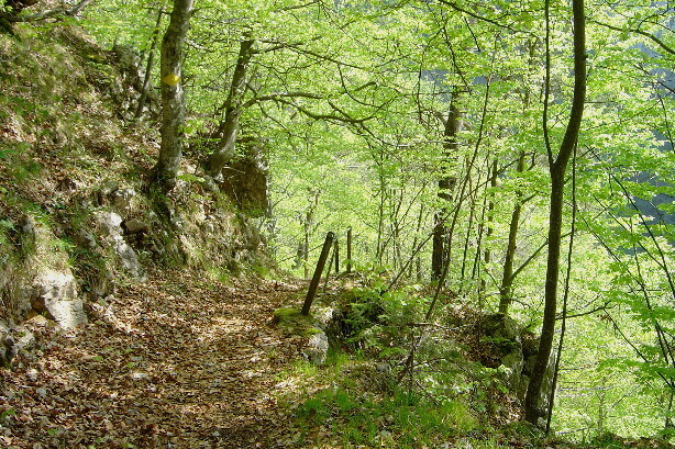 Der Eingang zur Schlucht