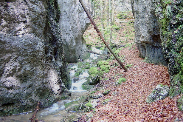 Wolfsschlucht
