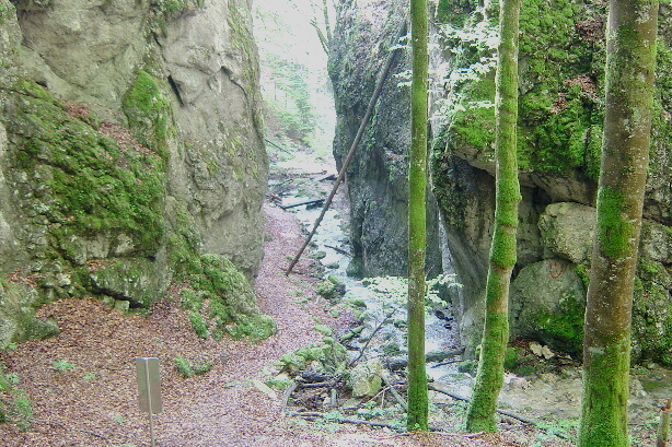 Wolfsschlucht