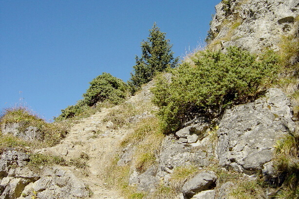 Aufstieg am Gipfelgrat