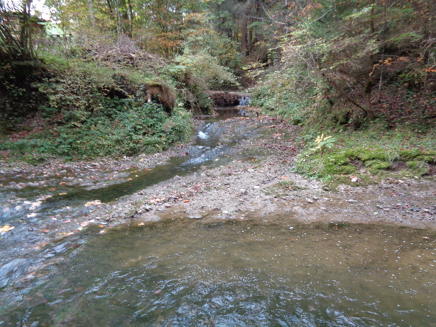 Zusammenfluss Wissibach und Rotache