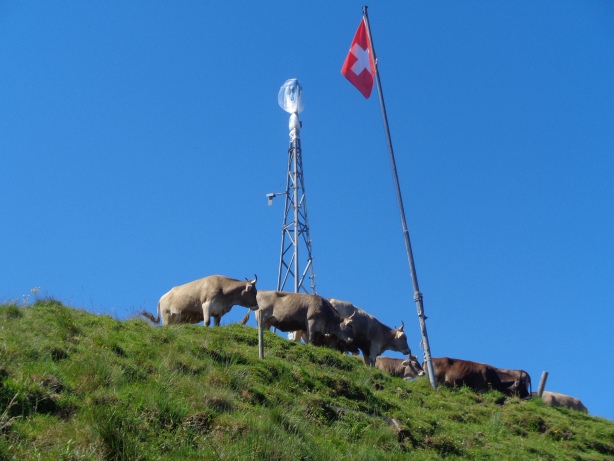 Hundwiler Höhi (1308m)