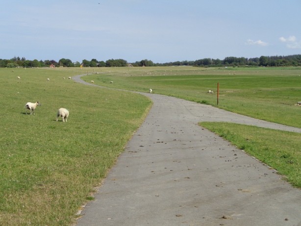 Deich bei Wobbenbüll