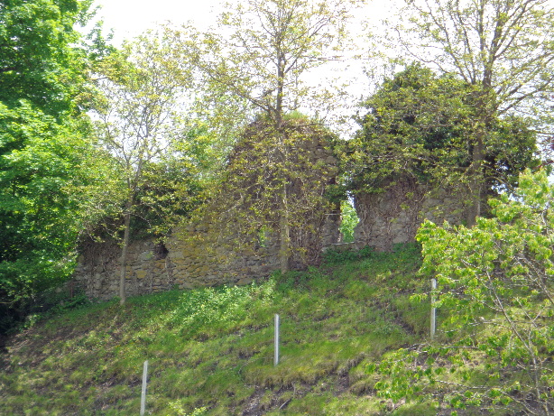 Ruine - Uttigen