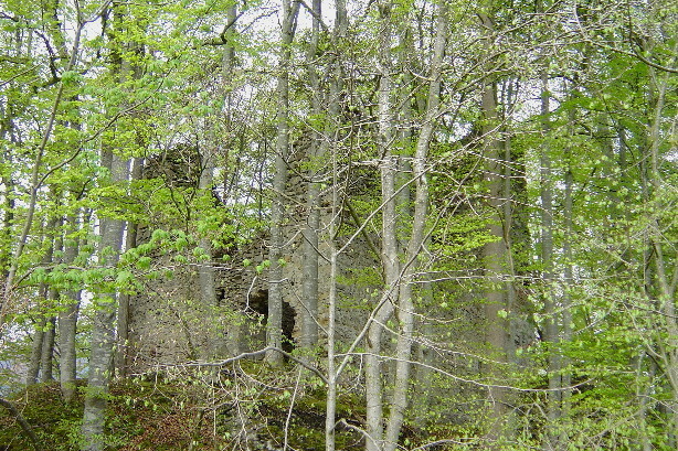 Ruine Jagdburg Höfen