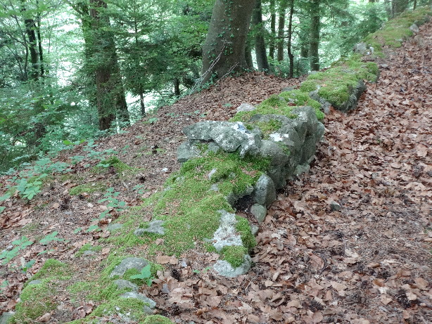 RuinS Balm - Oberhofen