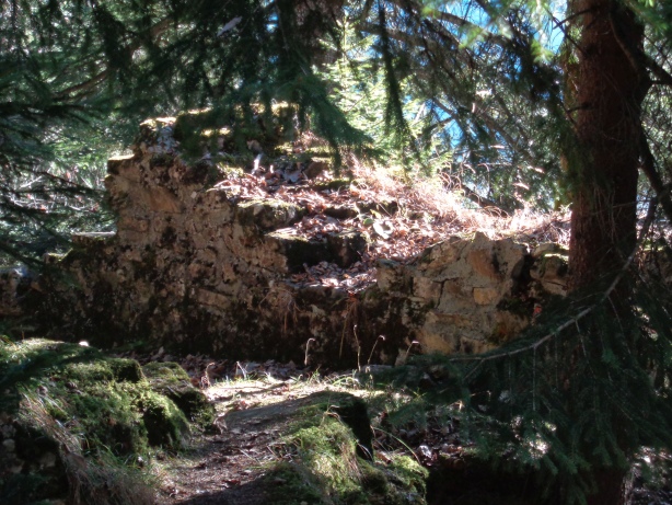 Ruine Bürg - Frutigen