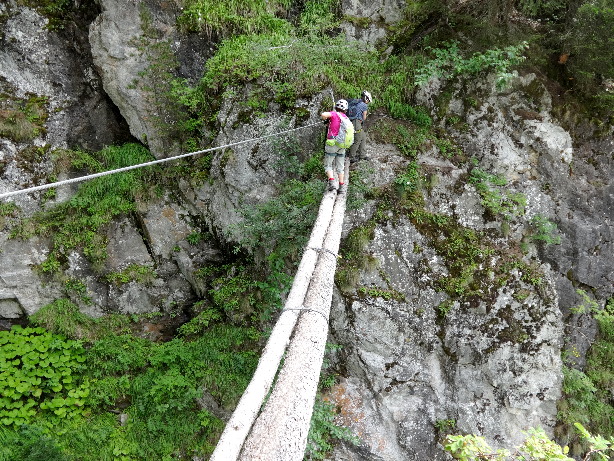 Baumstammbrücke (Umgehungsvariante der Tirolienne)