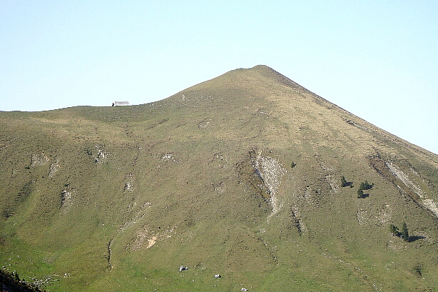 Birehubel (1850m)