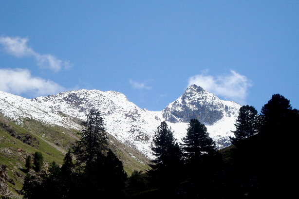 Piz Languard (3175m), Piz Albris (3166m)