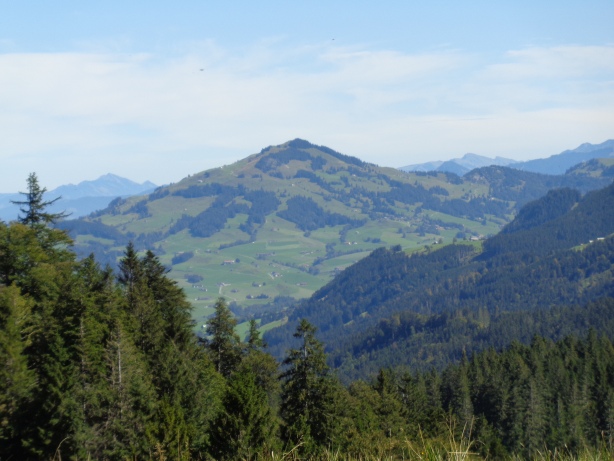 Fähnerenspitz (1505m)