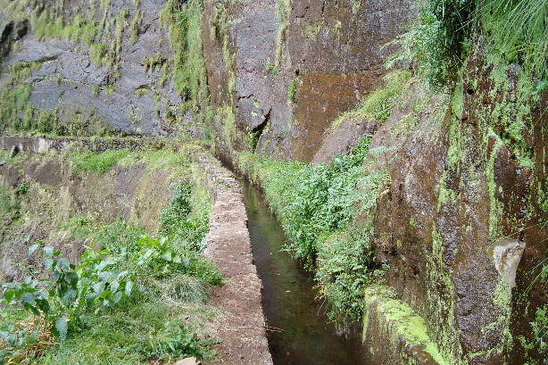 Levada dos Tornos