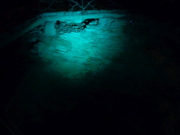 I see the music - Gletschergarten