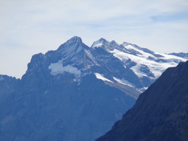Wetterhorn (3692m)