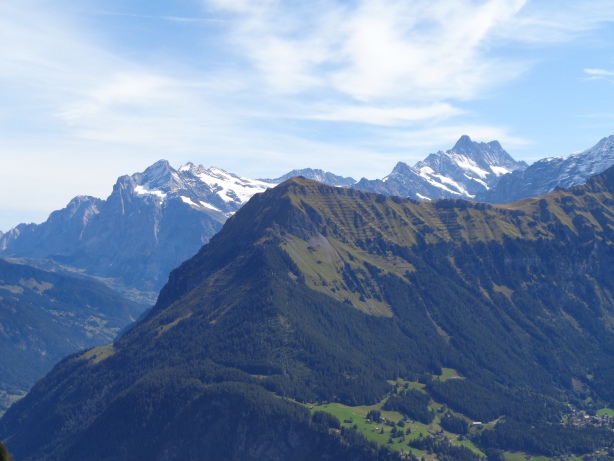 Wetterhorn (3692m), Männlichen (2229m), Schreckhorn (4078m)