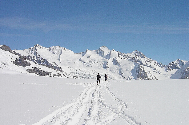 Fiescherhörner, Grünhorn, Finsteraarhorn, Wyssnollen, Fiescher Gabelhorn