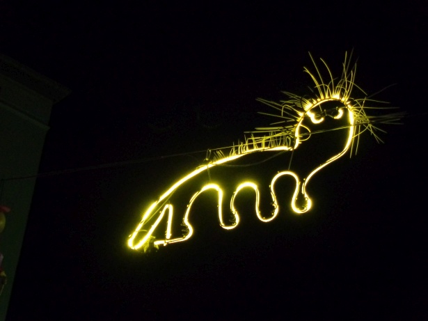 Urban Zoo - Haut du Petit-Chêne - Steve Bonny