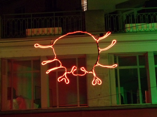  Urban Zoo - Haut du Petit-Chêne - Steve Bonny