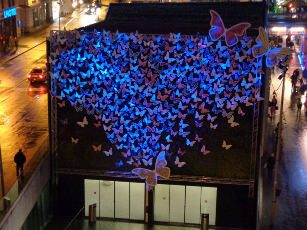L'Effet Papillon - Façade végétale TL - Élèves des écoles lausannoises
